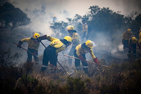 Firefighters battle wildfires in Pringle Bay, near Cape Town, South Africa, Tuesday, Jan. 30 2024. 