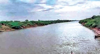 Telangana Jana Samithi chief bats for probe into Mallannasagar project 