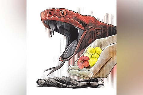 As per the state government records, from October 2023 to February 2024, the state reported 2,620 snake bite cases and eight deaths.