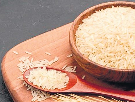 Rice