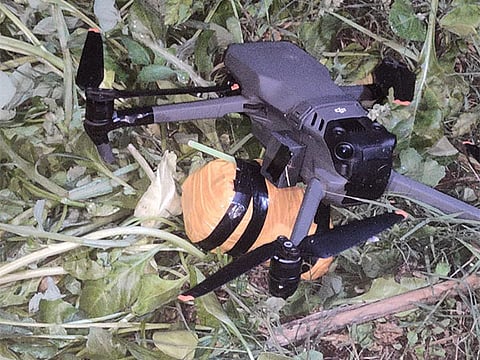 Image used for representational purposes.