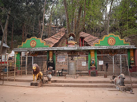 Gupteswar Forest Biodiversity Heritage Site.