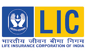 LIC image used for representation