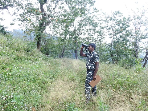 As part of their work, APWs have to set up camps inside the forest to ensure that the forest and wild animals are safe from poachers. 
