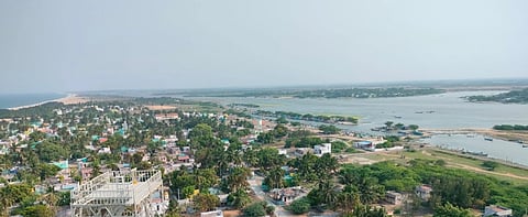Pulicat has lost much of its mangroves under developmental pressures