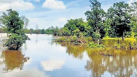  A total of 160 water bodies have been restored across Aryankavu, Punalur, Pathanapuram, Ranni, and Konni forest ranges. 