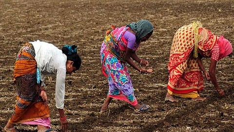 Maharashtra: BJP-led central government announced a series of measures on Saturday aimed at supporting distressed farmers. 