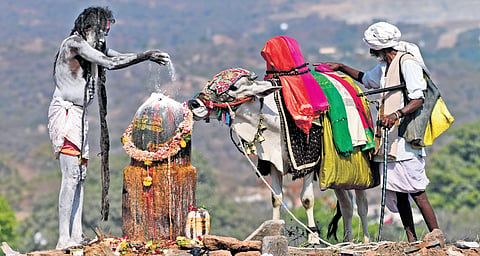 A devotee offers prayers at Keesaragutta in Hyderabad on Friday