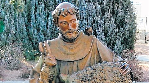  St Francis
