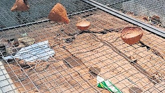 Around 10 kg of waste generated daily at Banashankari Temple is turned to organic compost at composting pits