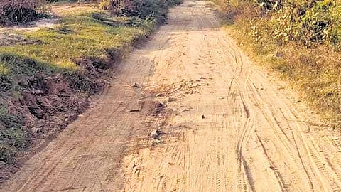 Residents urge officials to lay a link road through Sadayankuppan and Jothi Nagar, a pathway that is filled with mud 