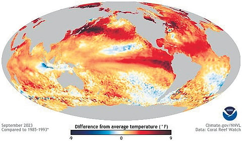 The persistence of the El Nino effect during the summer months has been attributed to cause higher temperatures. 