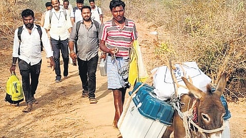 Officials carry poll materials with the help of a donkey to Kadambakuttai tribal hamlet in Krishnagiri on Thursday