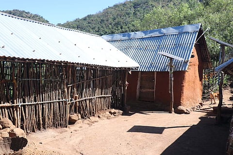 The Kathirimalai tribal village is located at an elevation of 3,600 feet inside the Chennampatti forest range of the Erode Forest Division.
