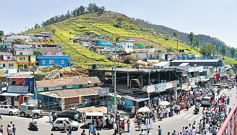 The economy of Nilgiris relies on tourism, tea production, and farming of hill vegetables