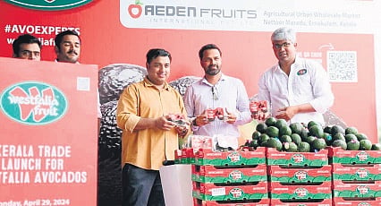 Snap taken during the launch of Westfalia Fruit in Kochi. 