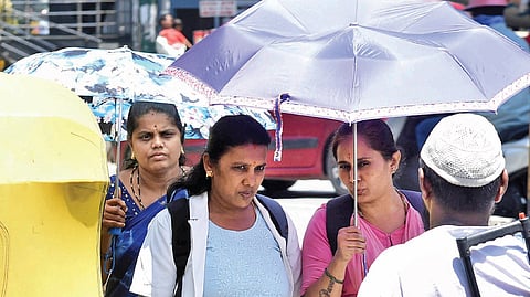 Umbrellas have become a must carry when venturing out in the city 