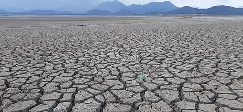 A file picture of Nagamarai, one of the water catchment areas for the Mettur dam where the Cauvery water has dried out. 