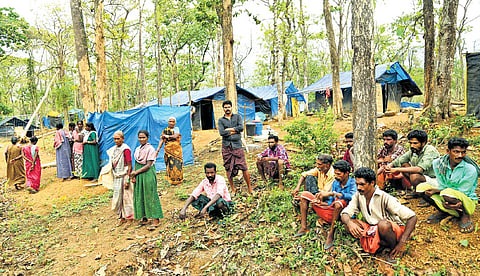 About 80 tribal families, who migrated from the woods to the forest fringes of Panthapra a year ago, have been living in thatched huts covered with tarpaulin sheets. 
