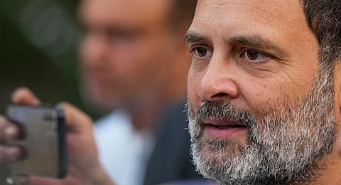 Rahul may contest from Rae Bareli 
