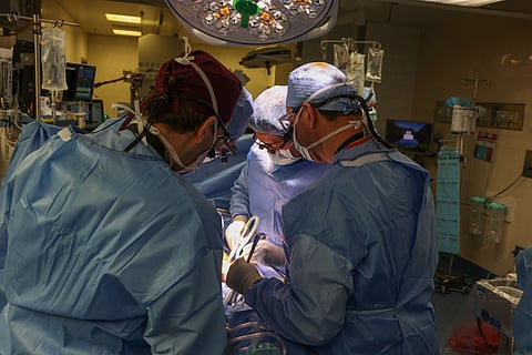 First pig kidney transplant patient discharged from hospital
