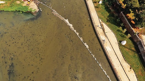 The accumulated trash in a river. 