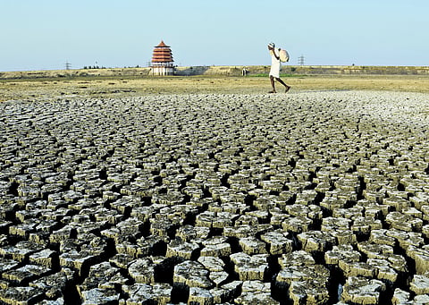 Though coastal areas experienced rain and floods during NE monsoon, other areas got inadequate rainfall 