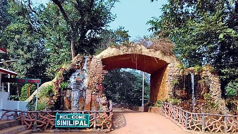 Similipal Tiger Reserve.