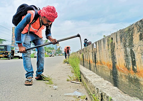 Migrant labourers from Bengali at work in Thiruvananthapuram. 