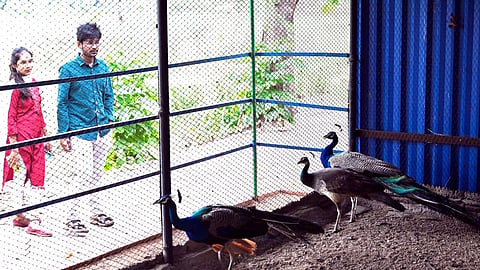 Visitors at Karimnagar Deer Park
