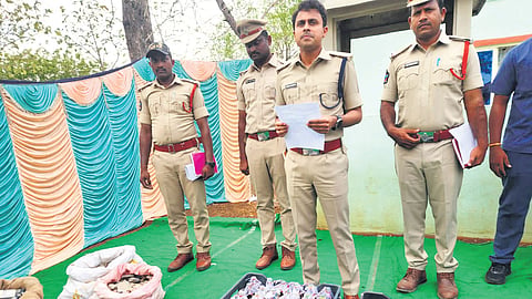 During a cordon & search operation at Pinelli village in Palnadu district, police seized 55 country-made bombs in the houses of five villagers 