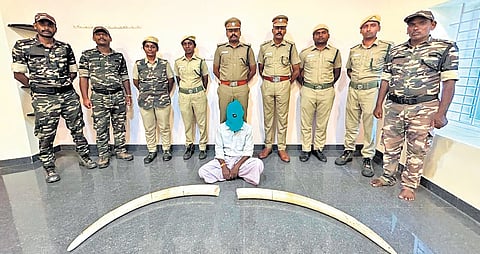 C Bomman, a Karnataka native, with the elephant’s tusks recovered from him