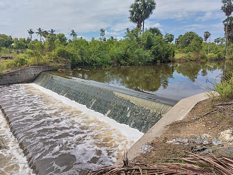 Many puddles and check dams in Erode suburbs like Anthiyur, Gobichettipalayam, Chennimalai are filled with rain water.