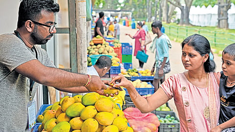 A woman customer tastes the king of fruits at the ongoing Mango and Jackfruit Mela in Lalbagh Botanical Garden on Friday. Several varieties of mangoes and jackfruits are on sale at the mela 