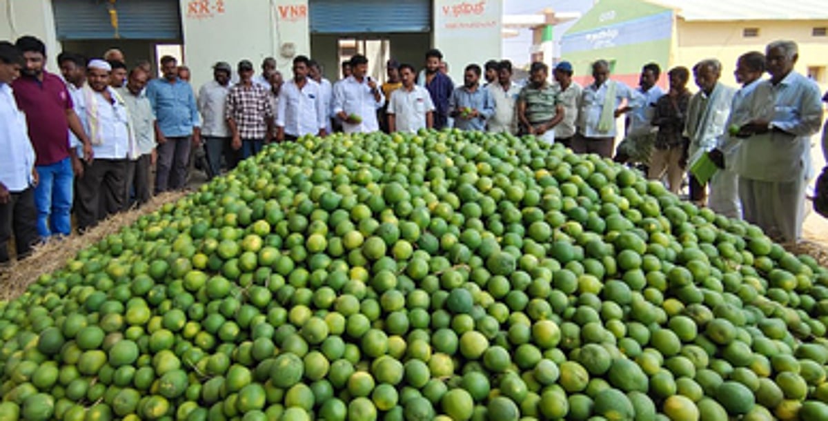 Photo from The New Indian Express's story