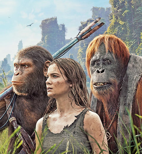 A still from the film Kingdom of the Planet of the Apes 