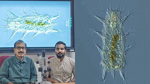 (L-R) Senior Prof Dr S Bijoy Nandan, Department of Marine Biology (left) and  Vishnudattan N.K, research scholar, Batillipes Chandrayaani. 