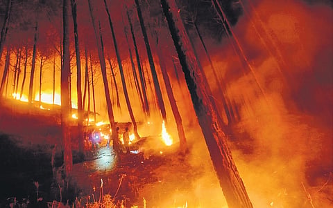 Forest fire rages in Uttarkashi district of Uttarakhand.