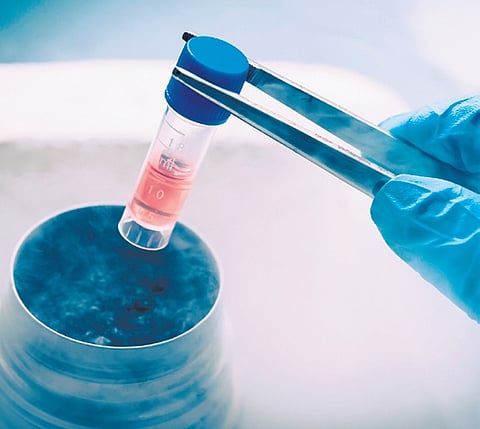 Women who choose to marry in their late 30s or 40s see egg freezing as a safe option