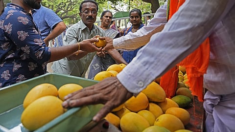 Customers seen buying Mangoes at Mango and Jackfruit Festival at Lalbagh Botanical Garden in Bengaluru, 2025.