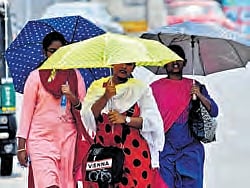 Women venture out with umbrellas in Vijayawada