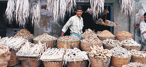 Dry fish shop in Chennai 