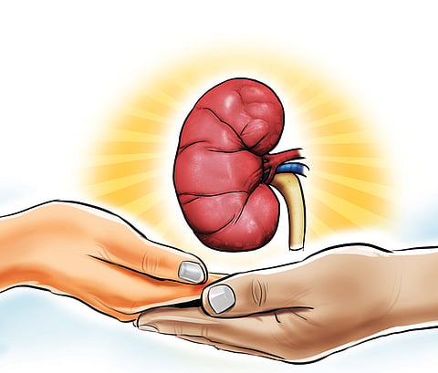 Express Illustrations