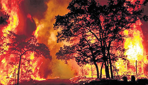 Death toll in Uttarakhand forest fire 
rises to three, situation remains grim