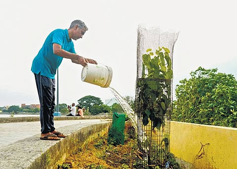 PIC: R Ayyappan