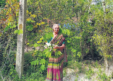 Devaki Amma in front of the forest that she created 