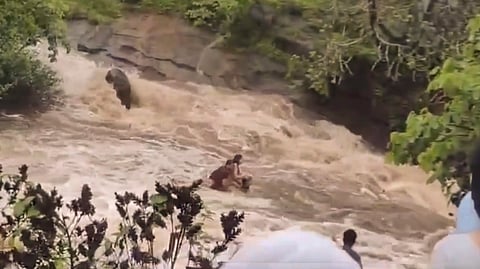 Screengrab from the video which captured the tragic incident.