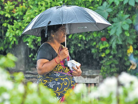 Denizens witness light showers in Vijayawada on Friday 
