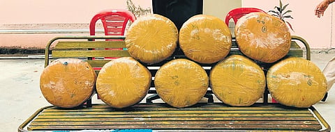 Bengaluru: Over 65 kg ganja seized, two peddlers arrested