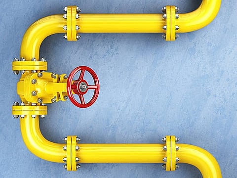 The Puducherry government has slashed the Value Added Tax (VAT) on Piped Natural Gas (PNG).